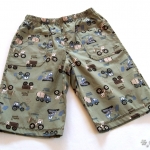 Aqua Shorts