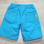 Aqua Shorts