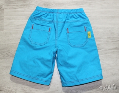 Aqua Shorts